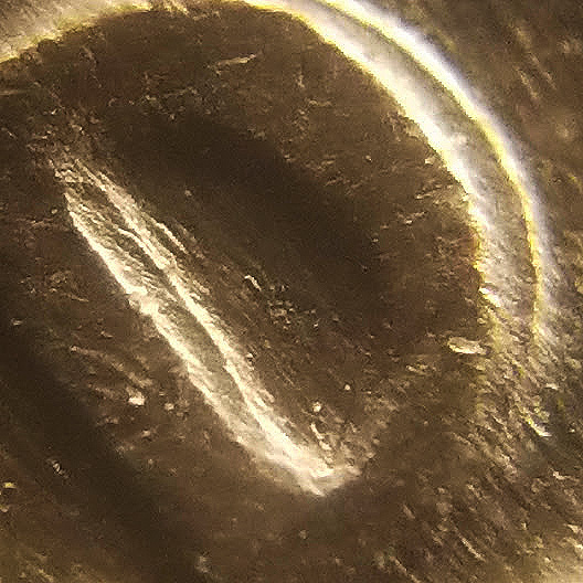 1981-Quater-With-Double-Die?