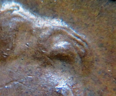 Post-Your-Rarest-Errors-And-Varieties-Coin-Finds!