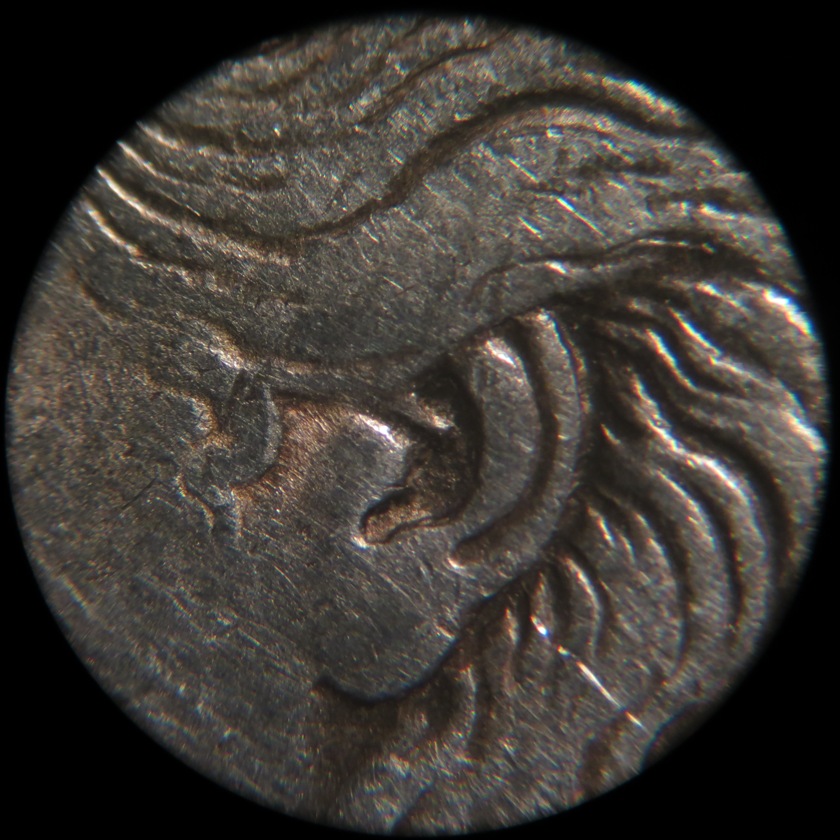 1921-Morgan-Dollar-VAM-13?