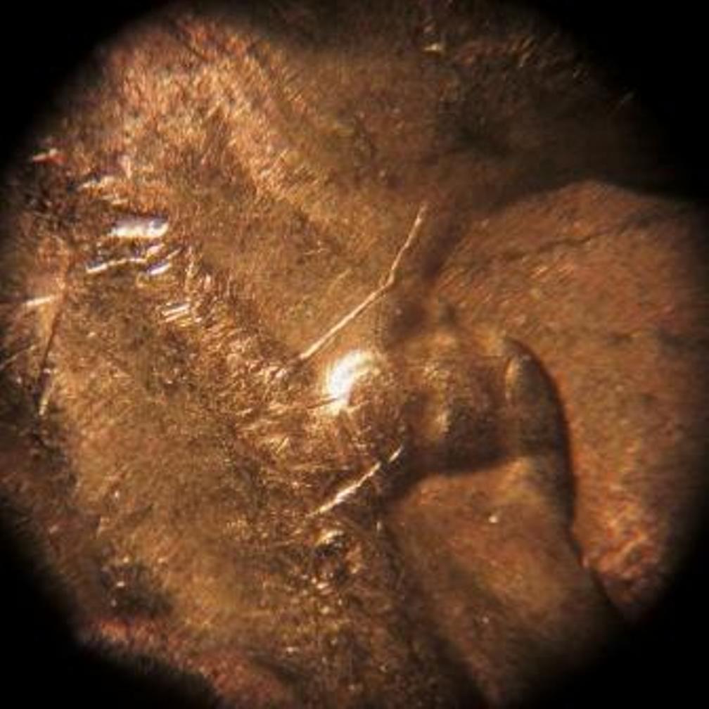 Post-Your-Examples-Die-Damaged-Coins.