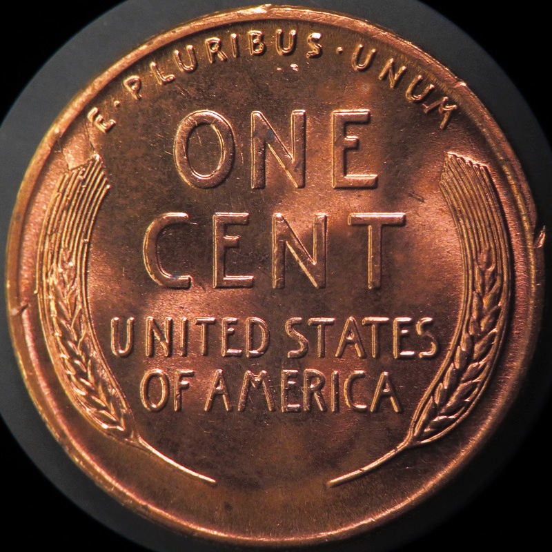 1955-S-Reverse-Retained-Cud