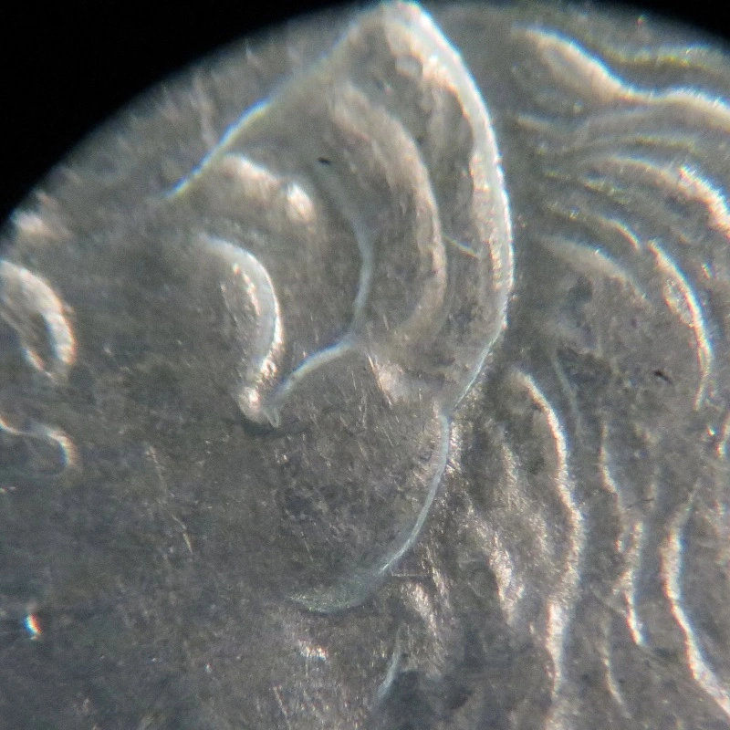 1886-S-Morgan-Dollar---Please-Help-With-VAM-ID