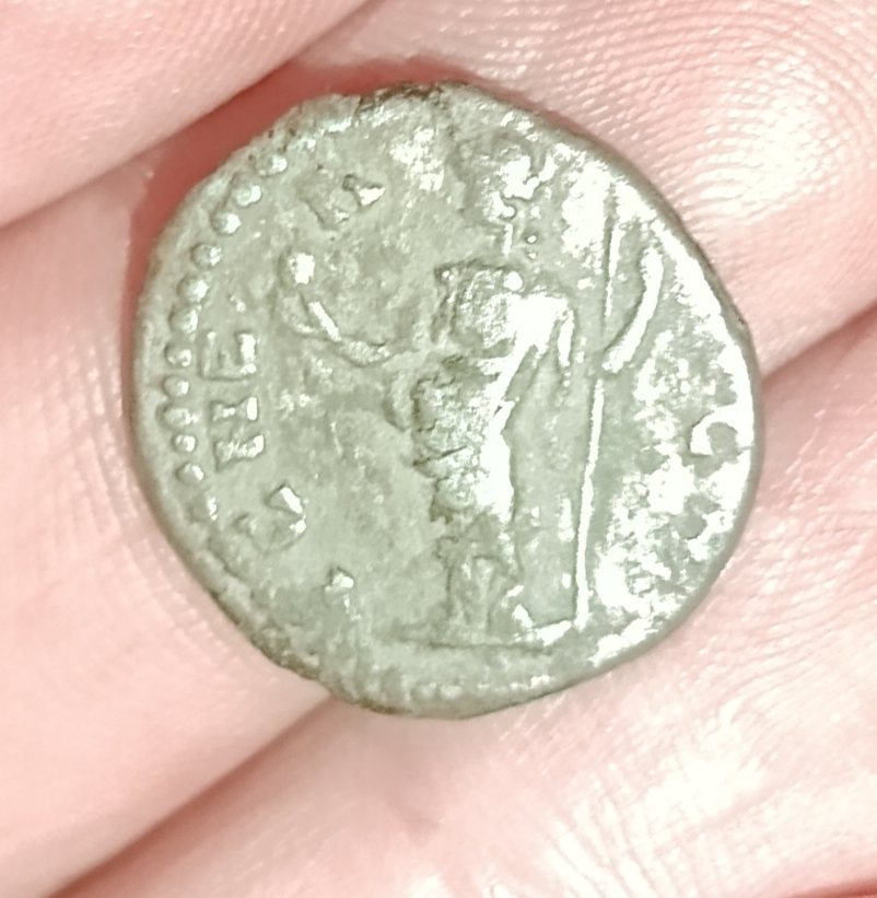 Septimius-Severus-Denari