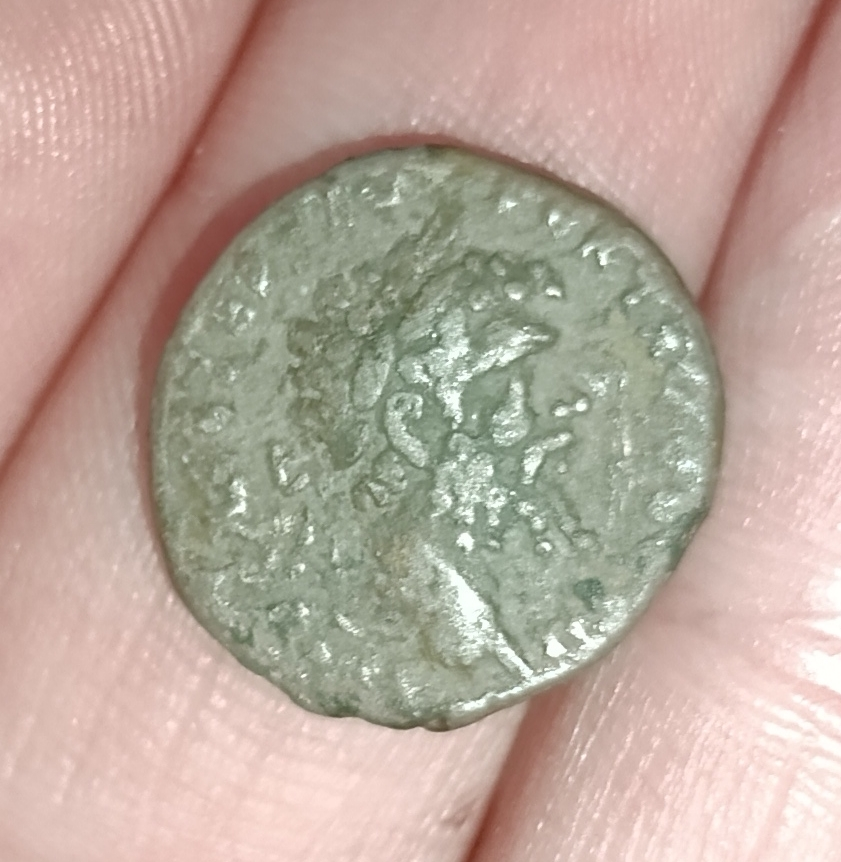 Septimius-Severus-Denari