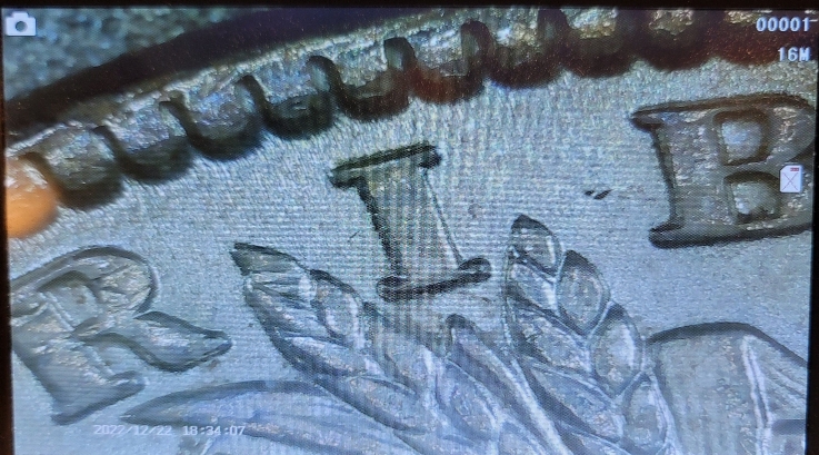 1887-P-Morgan-Help-Identifying-Type-Of-VAM