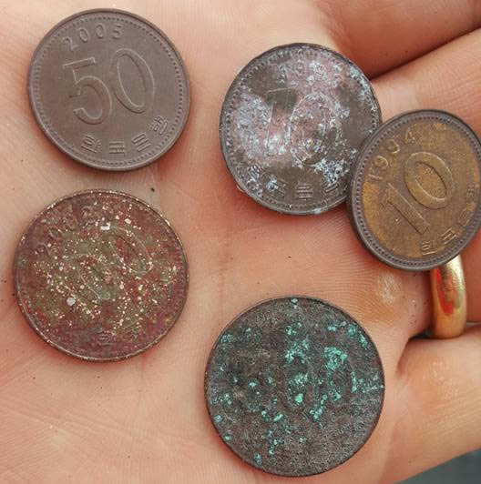 First-Time-Detecting-On-Beaches-Of-Korea