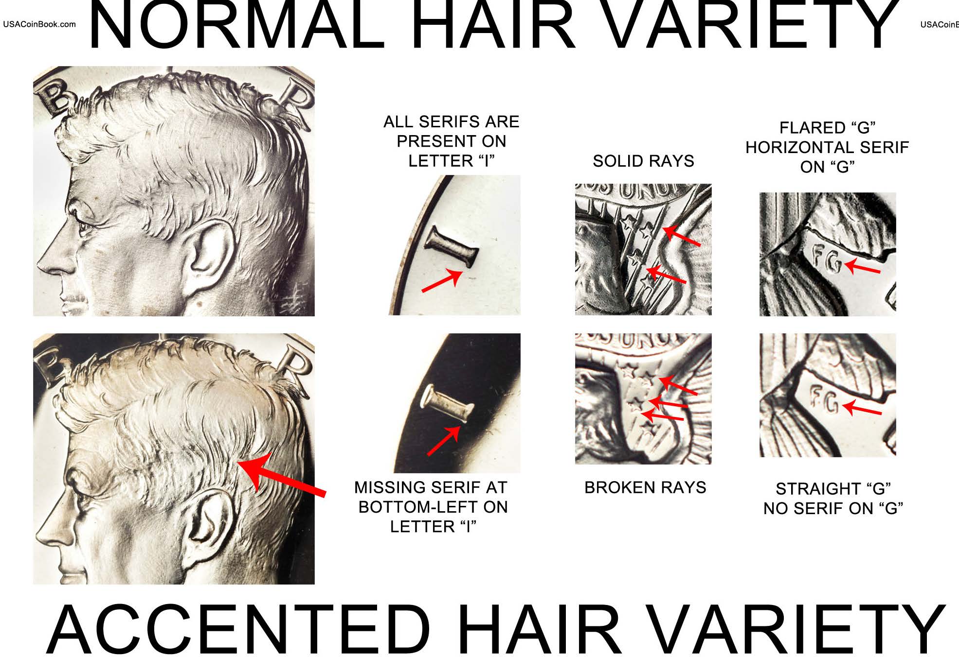 1964-Kennedy-Accent-Hair?
