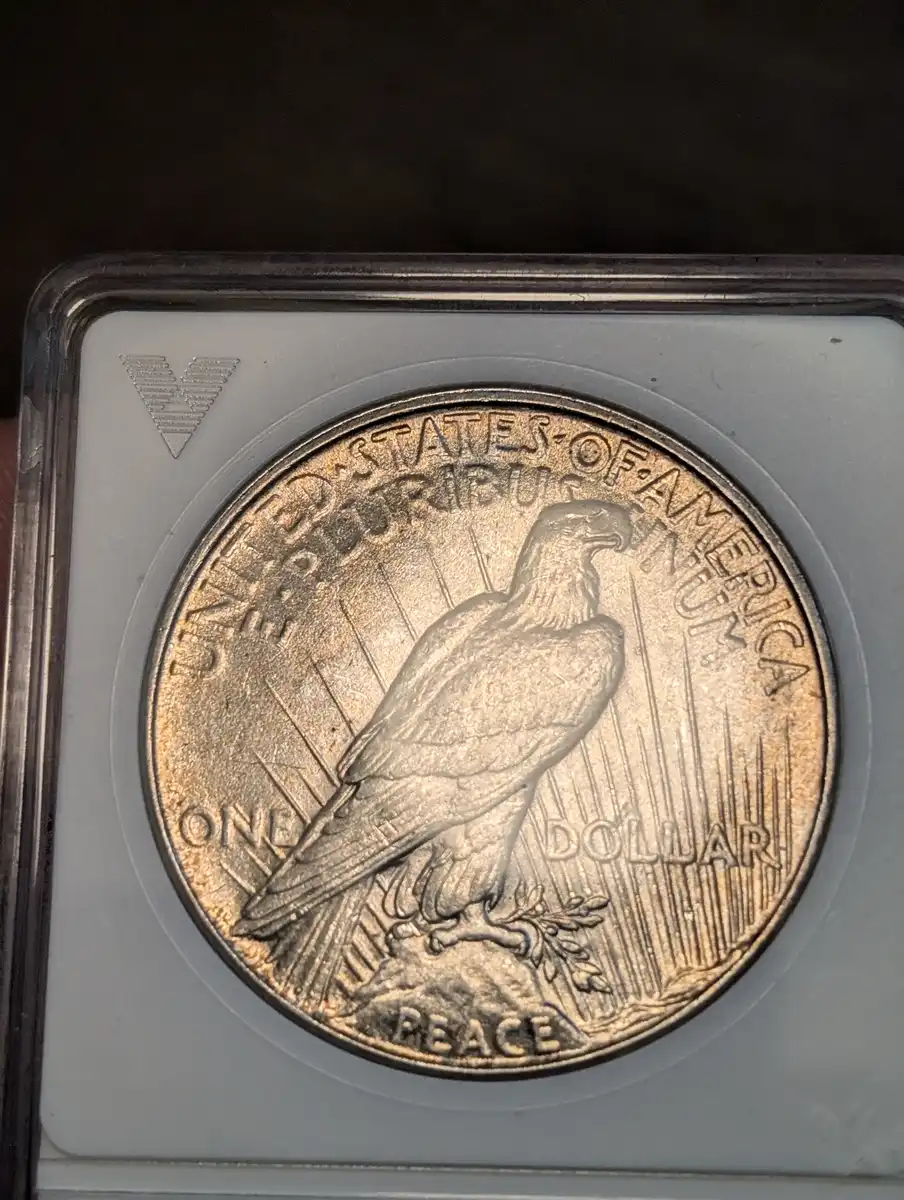 What-Am-I-Missing?-1934-Peace-Dollar-MS-60.