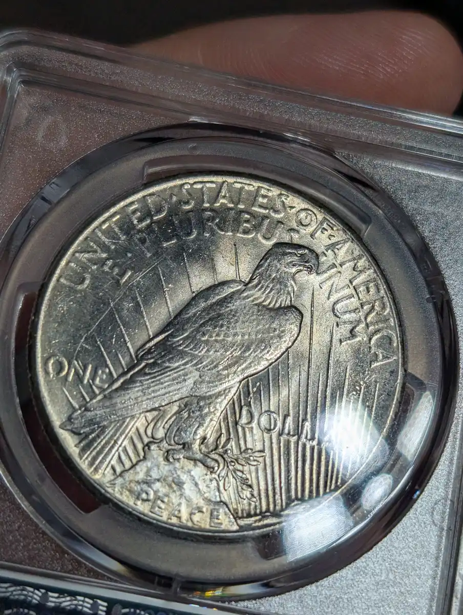 How-Did-This-1928-Peace-Dollar-Straight-Grade?
