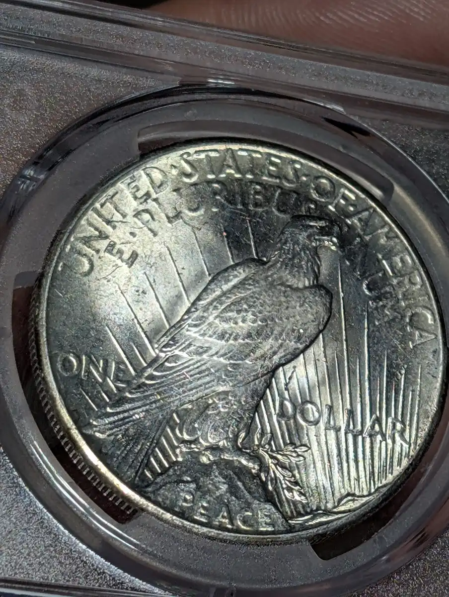 How-Did-This-1928-Peace-Dollar-Straight-Grade?