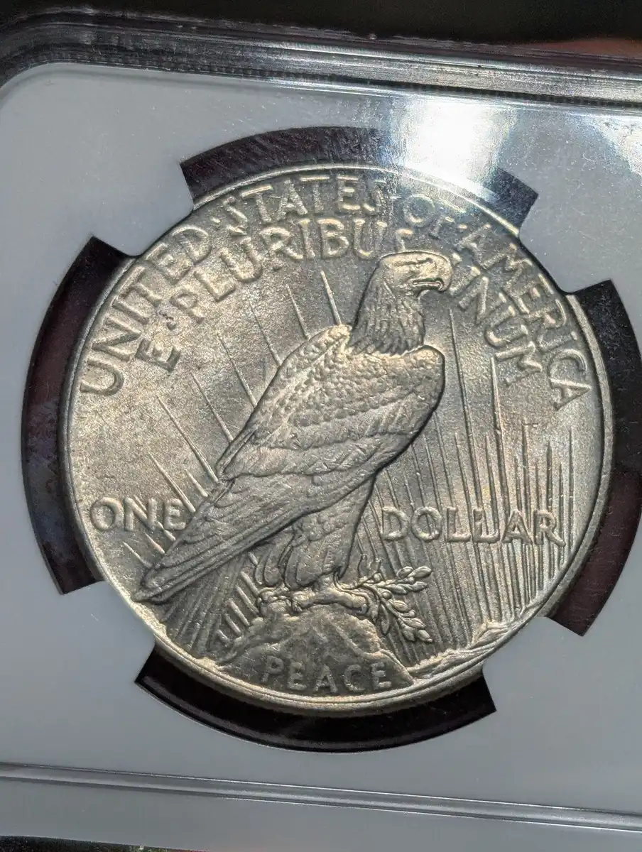 40th-Birthday-Peace-Dollar-Surprise