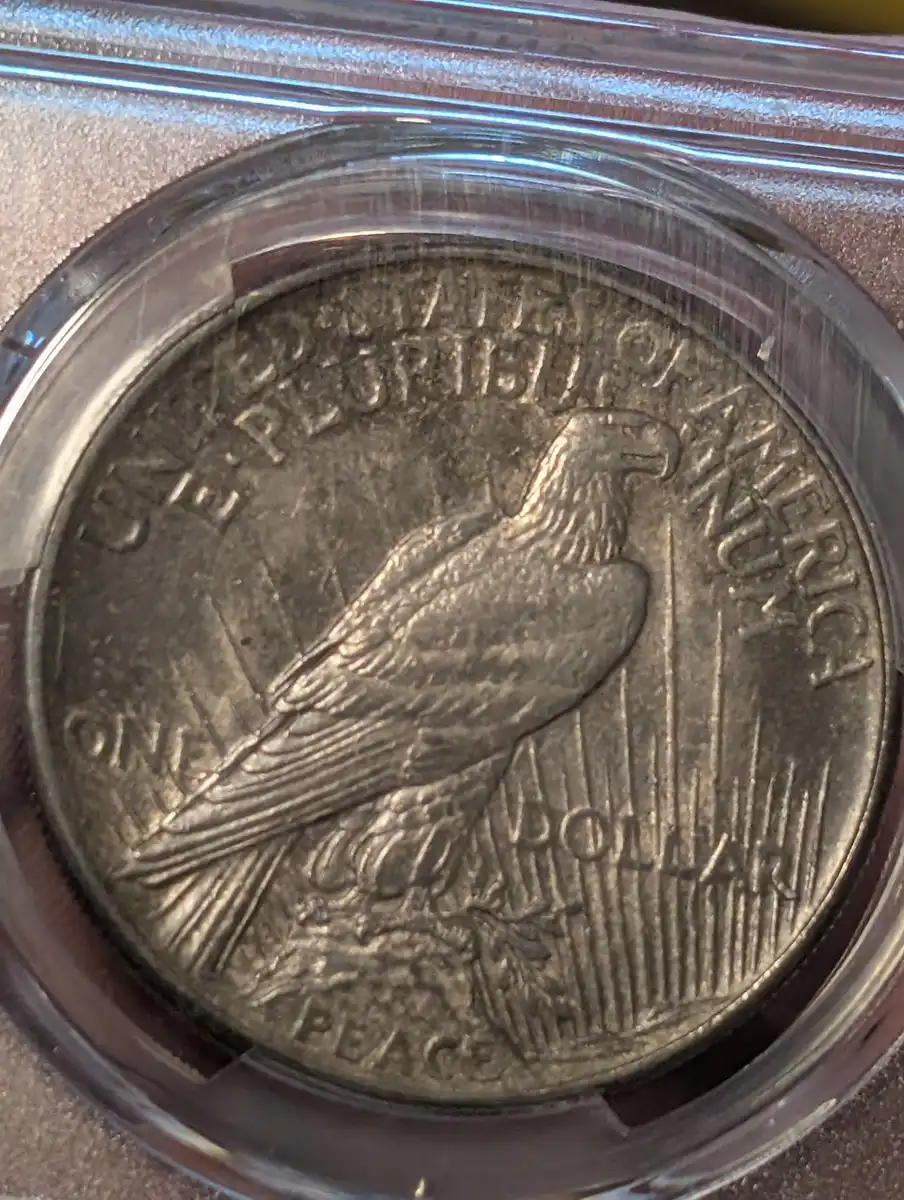 You-Vs-PCGS---1921-Gunmetal-Black-Toned-Peace-Dollar
