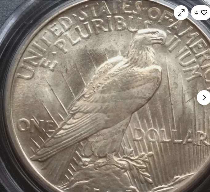 You-Vs-PCGS---1921-Dark-Toned-Peace-Dollar