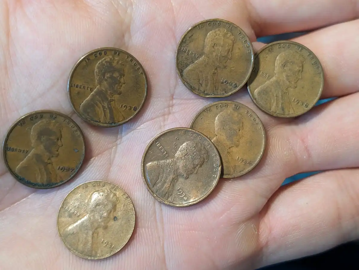 Penny-And-Nickel-Customer--Wrapped-Rolls