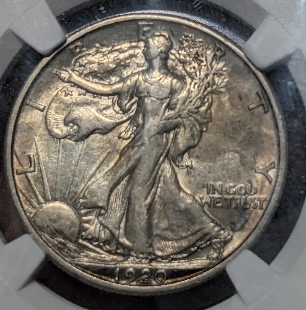 You-Vs-NGC---1920-D-Walking-Liberty-Half-Dollar
