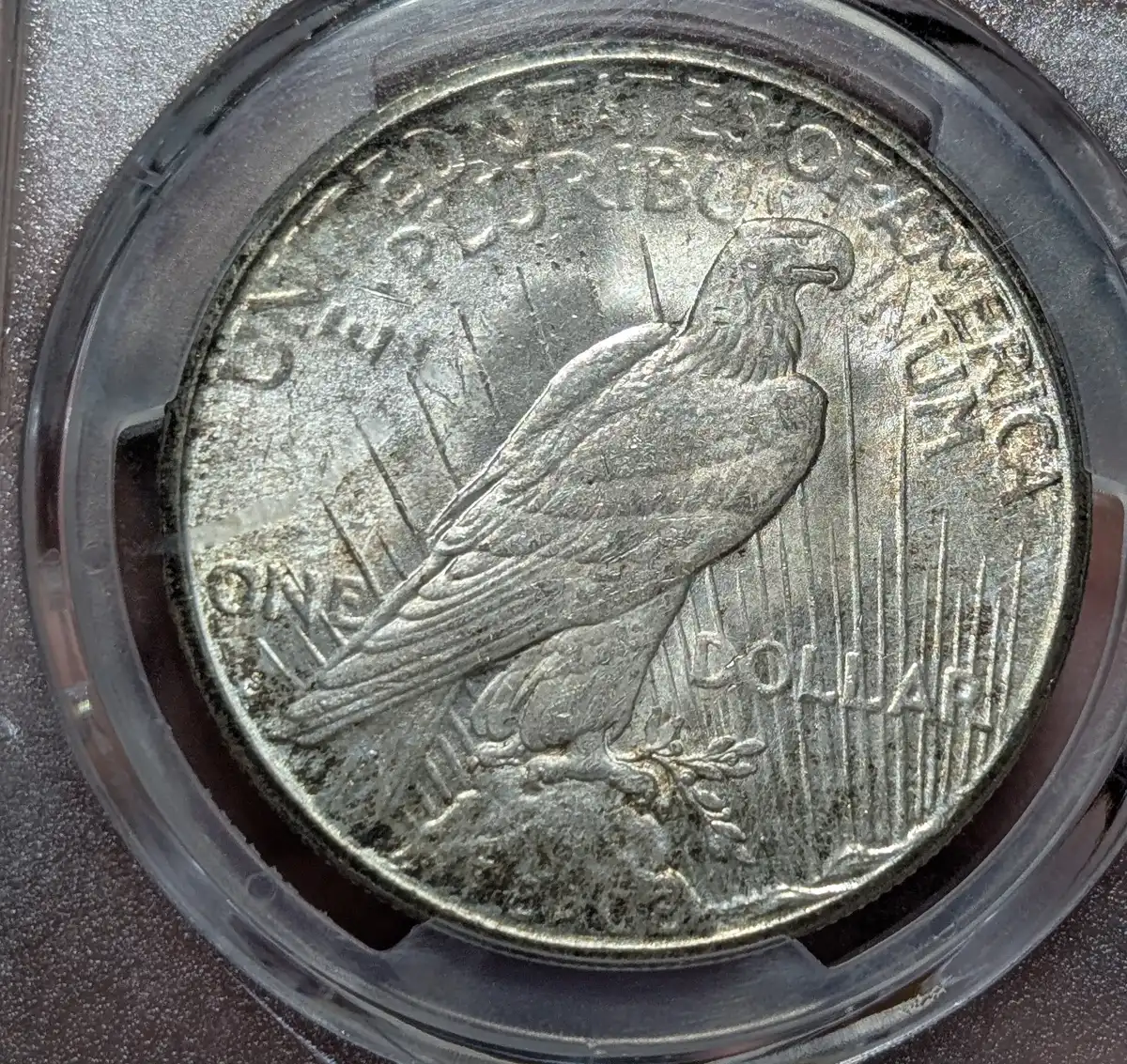 My-Most-Recent-Pickup---Rainbow-Toned-22-S-Peace-Dollar