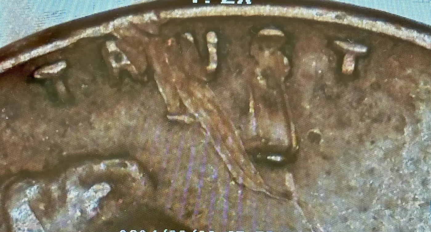 1959-Lincoln-Penny-Error?