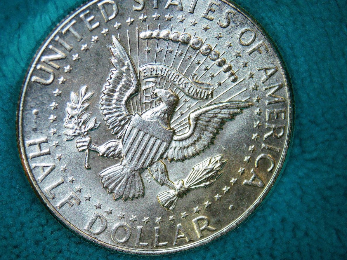 1964-Half-Dollar.-Worth-Grading?