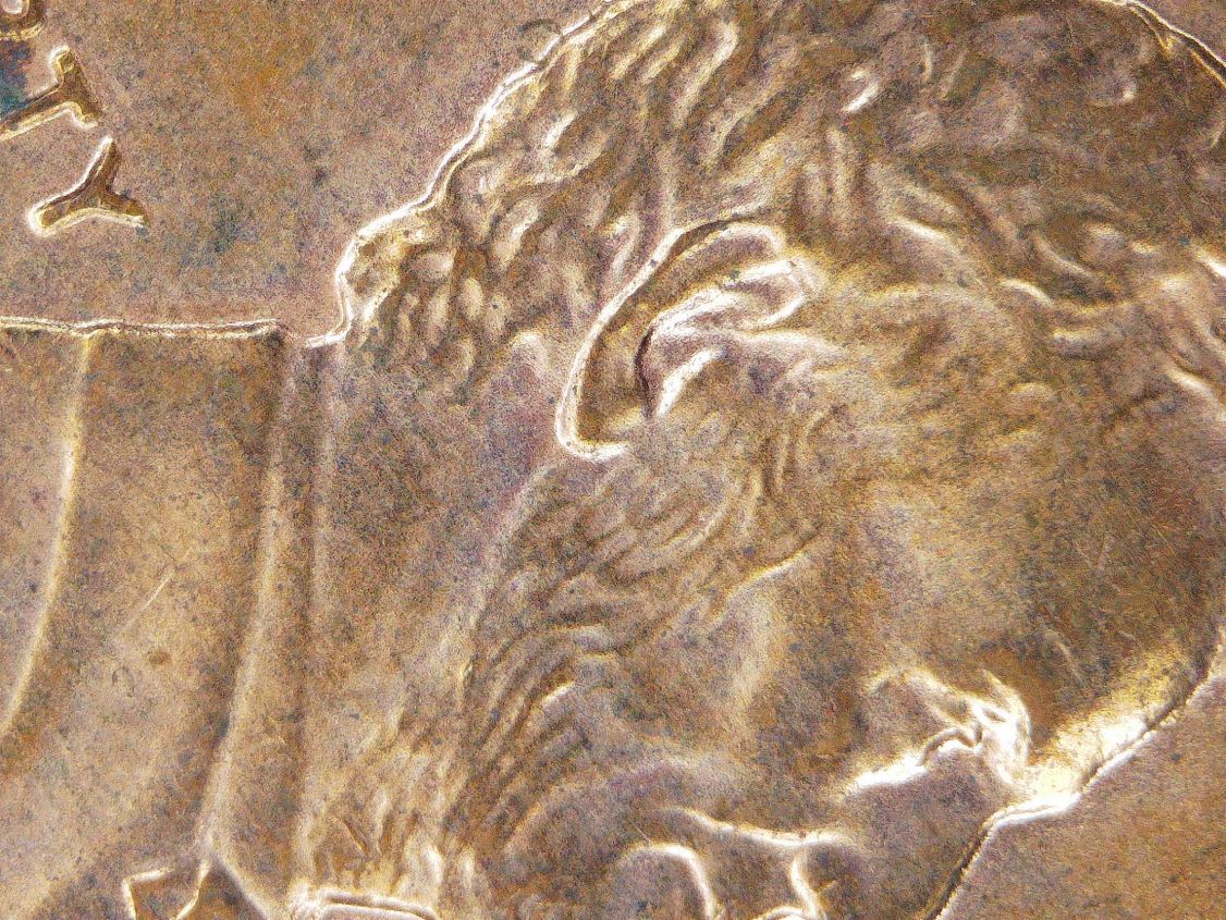 2005-Lincoln-Memorial-Is-This-A-Possible-Small-Doubled-Ear?