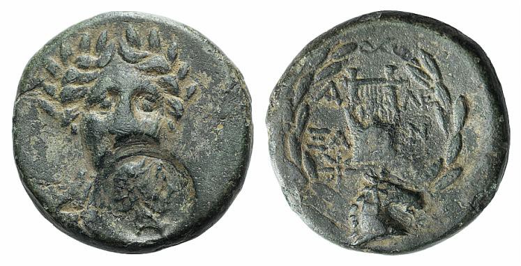 My-First-Animal-On-A-Coin.