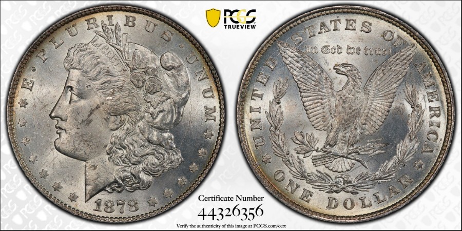 1878-8TF-VAM-14.20-Morgan-Dollar