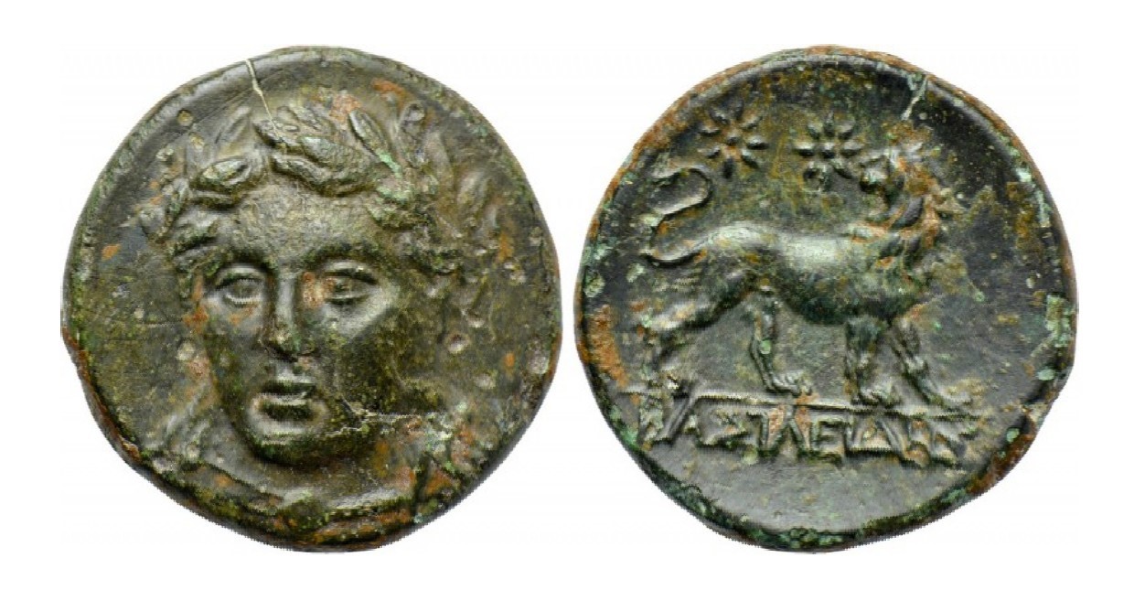 Post-Your-Lion-Coins!