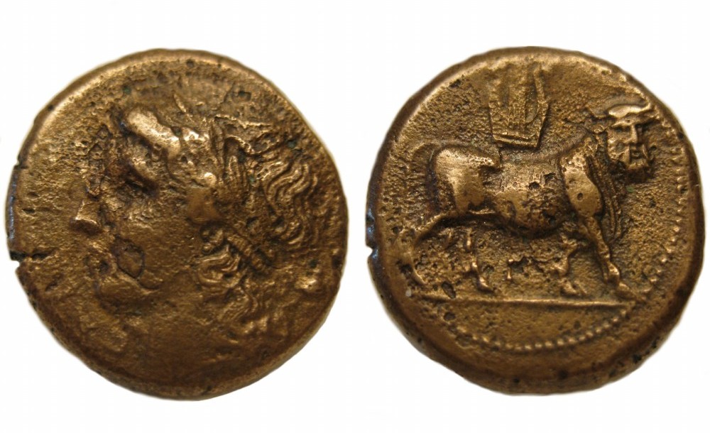 Bovine-Coins---Post-Yours