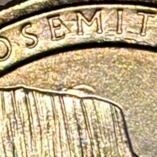 2010-Yosemite-Quarter---Proud-Member-Of-The-Extra-Mountain-Club