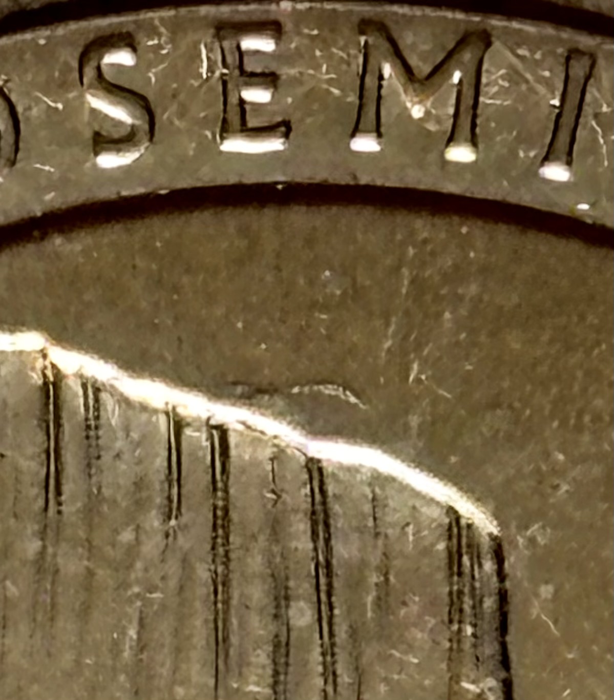 2010-Yosemite-Quarter---Proud-Member-Of-The-Extra-Mountain-Club