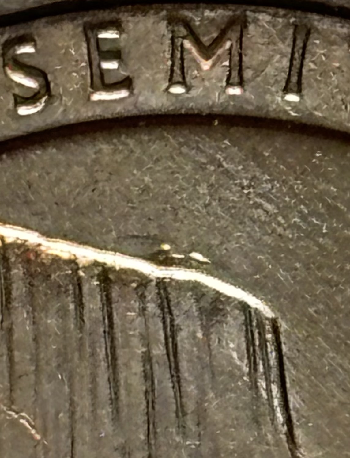 2010-Yosemite-Quarter---Proud-Member-Of-The-Extra-Mountain-Club