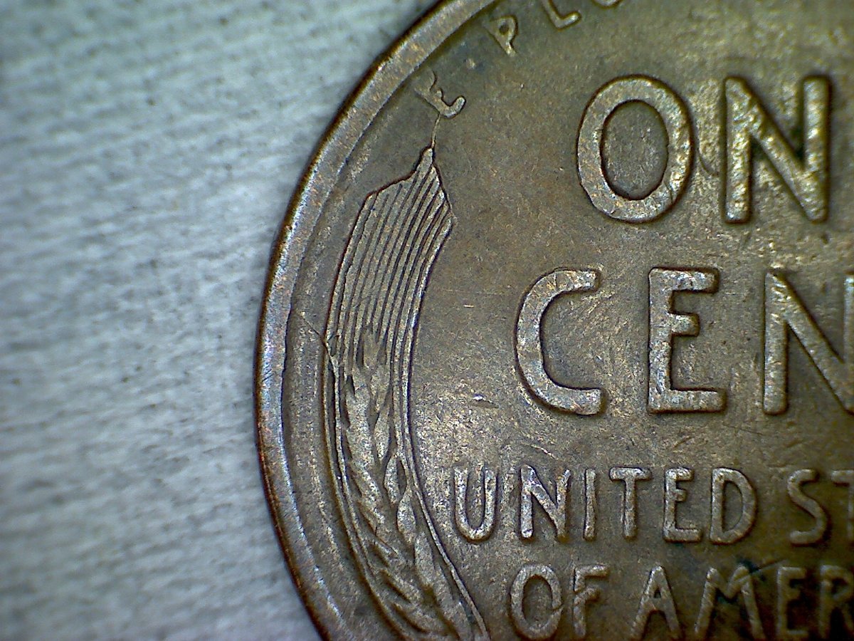 Did-I-Find-A-1917-S-Reverse-Error?