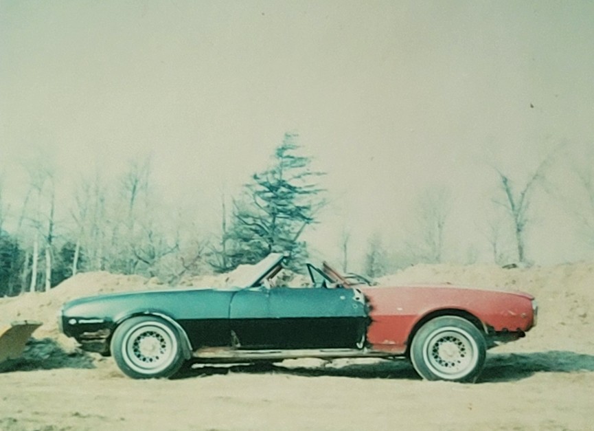 20-Questions!-Forum-Game-11/04/24