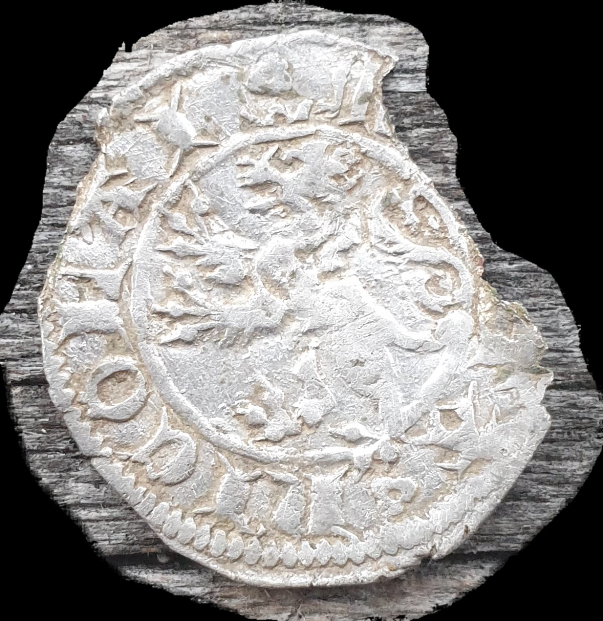 Damaged-Beautiful-Coin