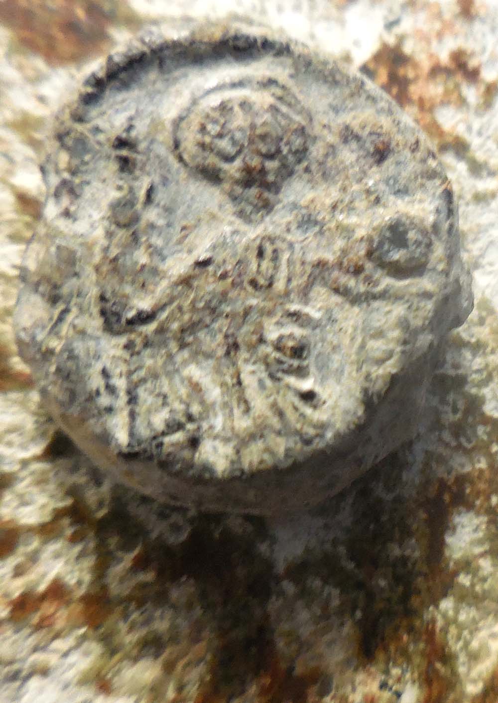 Help-With-Byzantine-Seals