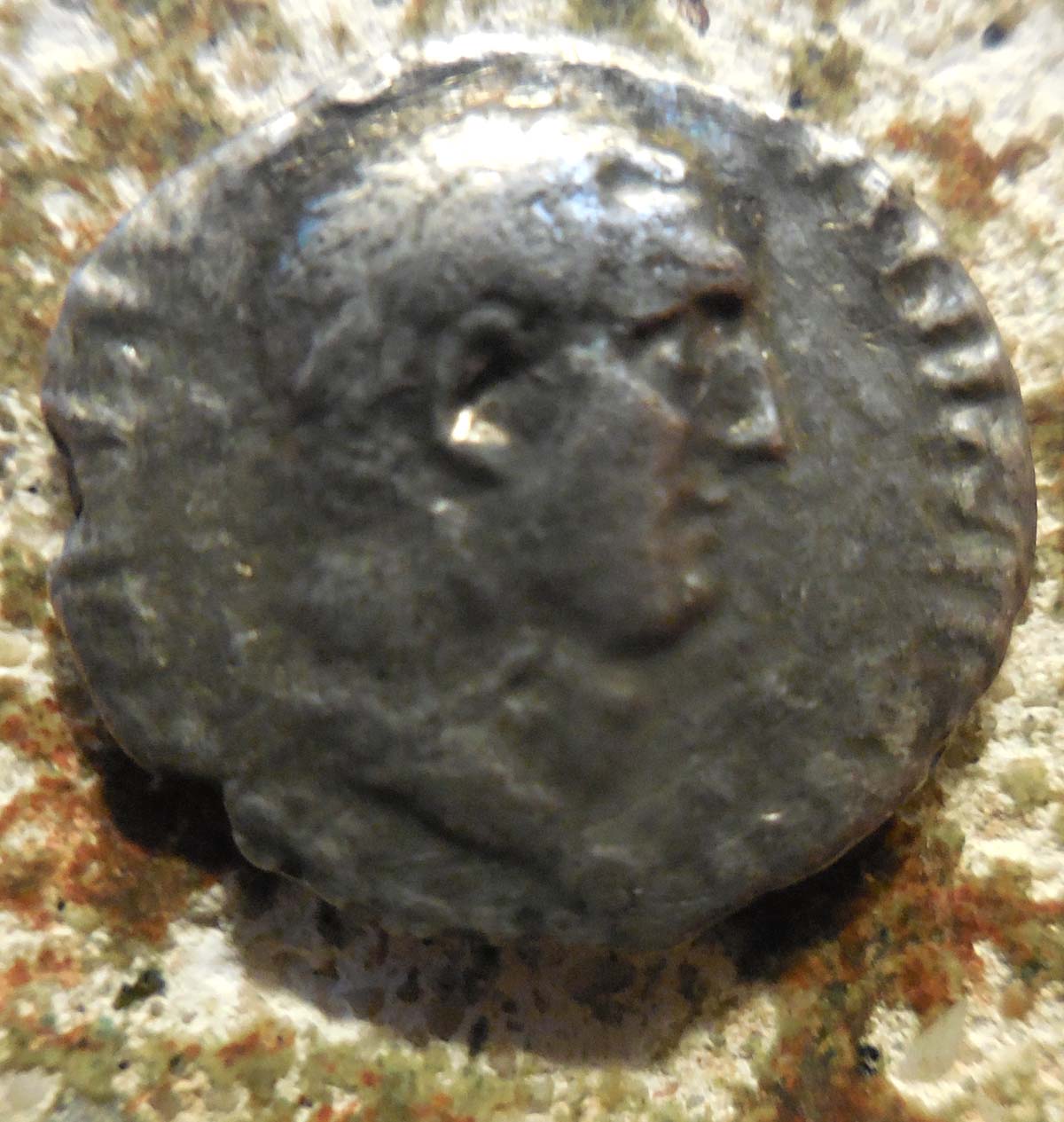 Roman-Denarius-ID-Help