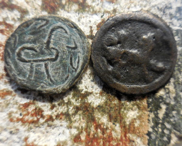 2-Coins-Of-7---8th-Century-Chach-Tashkent-Today:-Bust-/-Tamgha-&-Lion-/-Tamgha