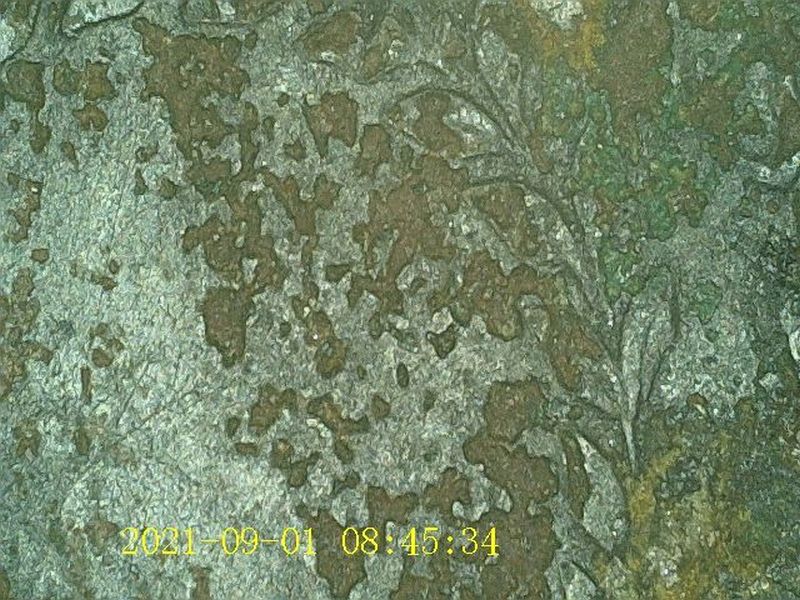 1783-US-500-Unit-Quint-Silver