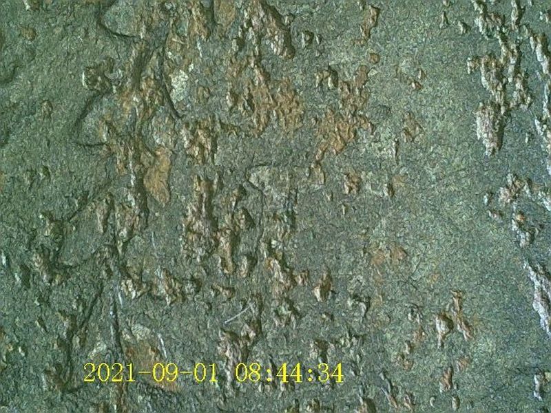 1783-US-500-Unit-Quint-Silver