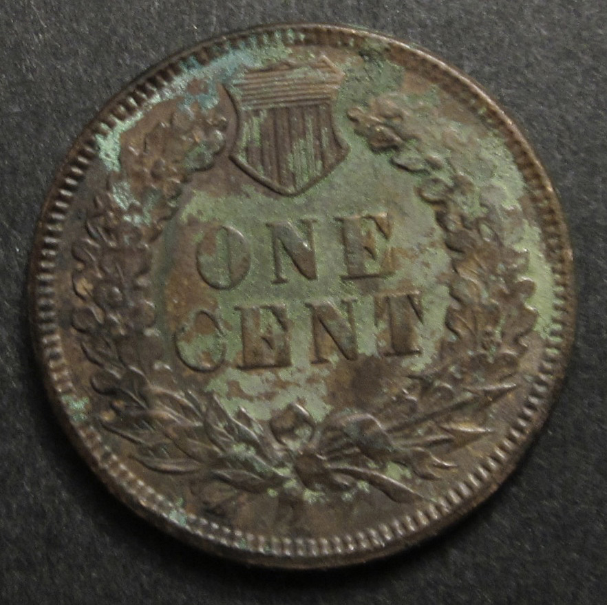 Subject-2---Verdigris-1893-Indian-Cent