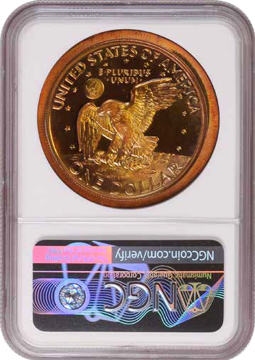 Unique-Bronze-Ike-Proof-Certified-By-NGC