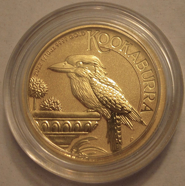 Continuing-List-To-Show-Everyones-Latest-Acquisitions