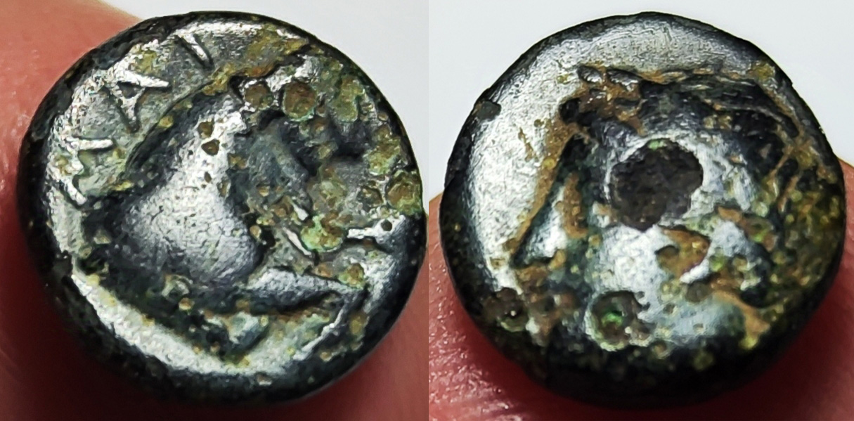 Old,-Probably-Greek,-Coin-Depicting-A-Horse