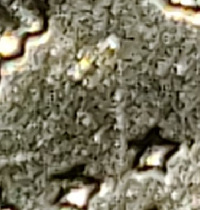 2006-D-Kennedy-Half-Dollar-Anomaly