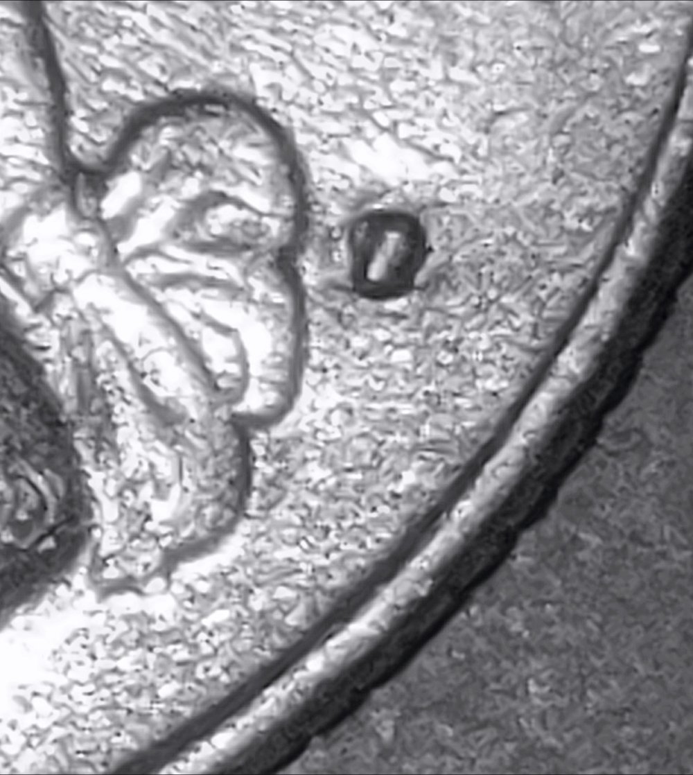 1981-P-Quarter-Possible?