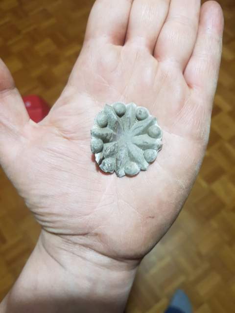 Some-Sort-Of-Noricum-Celtic-Artifact?-Id:-Probable-Broach