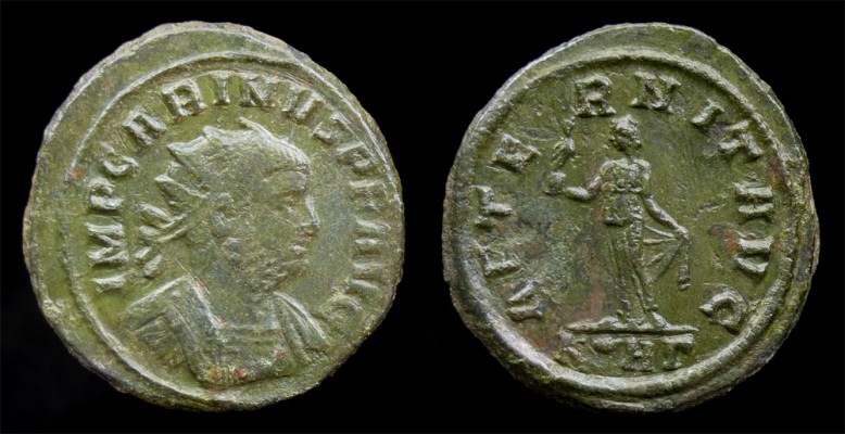 Collection-Upgrade---Carinus