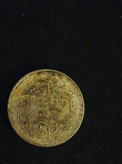 Strange-Looking-Modern-Coin