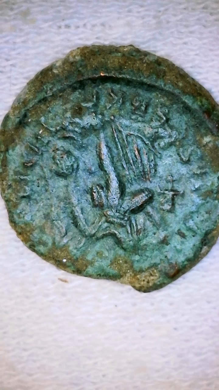 Ancient-Coin?---What-Do-I-Have-Here?