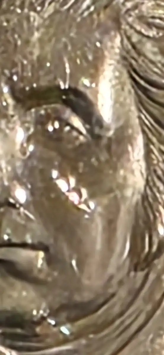 2026-D-Semiquentenial-Quarter-Die-Failure?