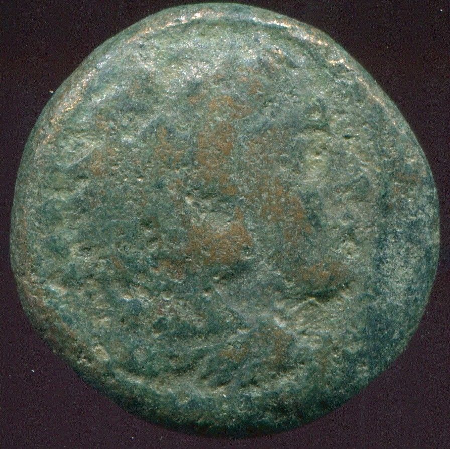Alexander-III--Herakles-Bow